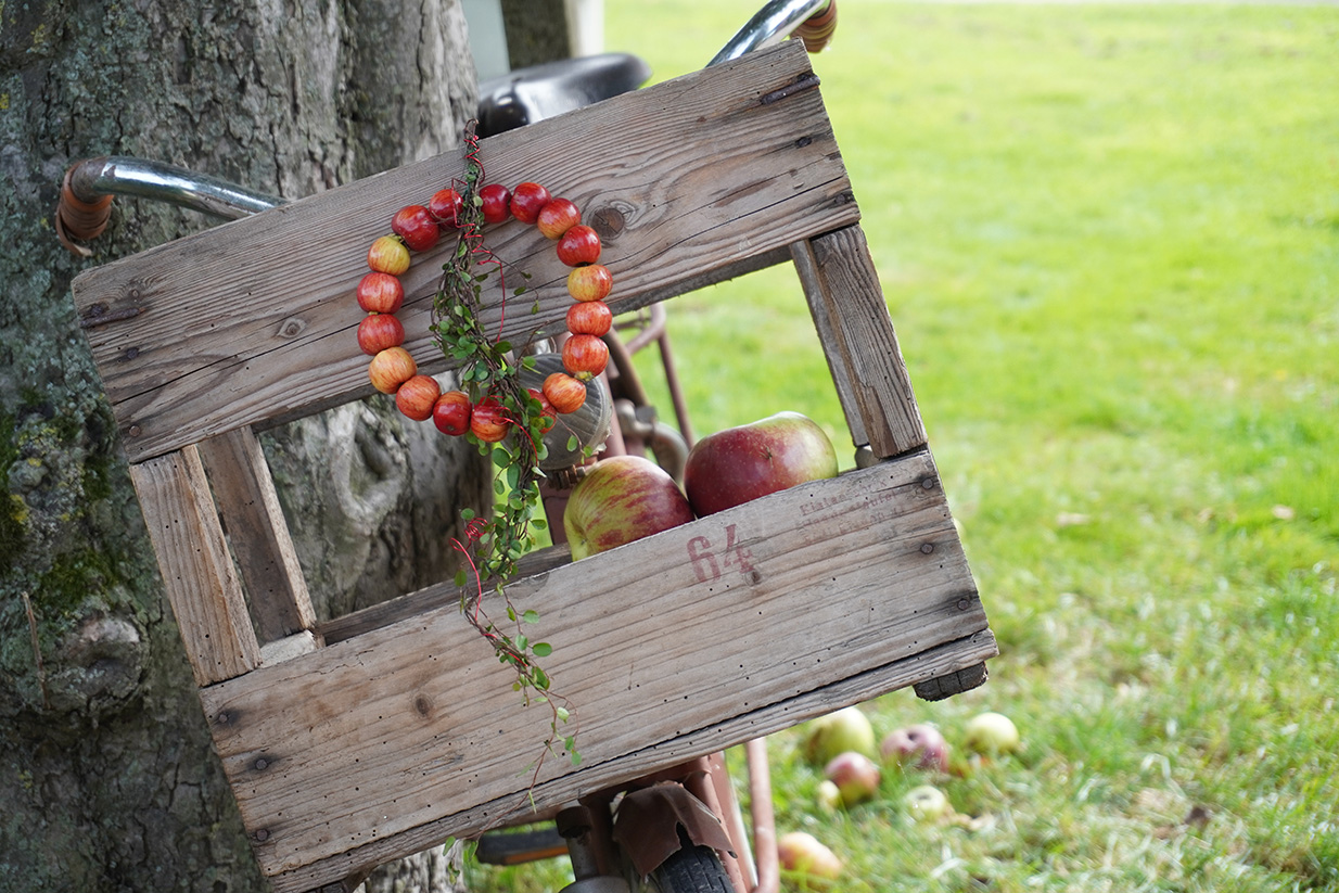 Apfelkranz